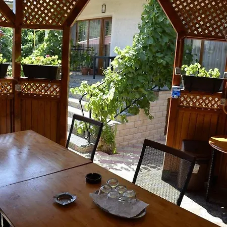 Pensjonat Casa Sarofin Costinesti